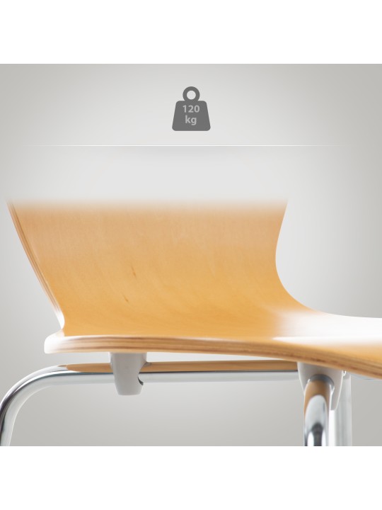 Besøgsstol Calisto, natur