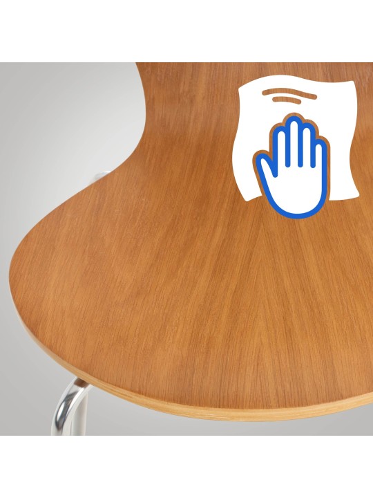 Besøgsstol Calisto, eg