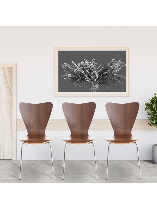 Sæt med 4 Calisto besøgsstole, valnød