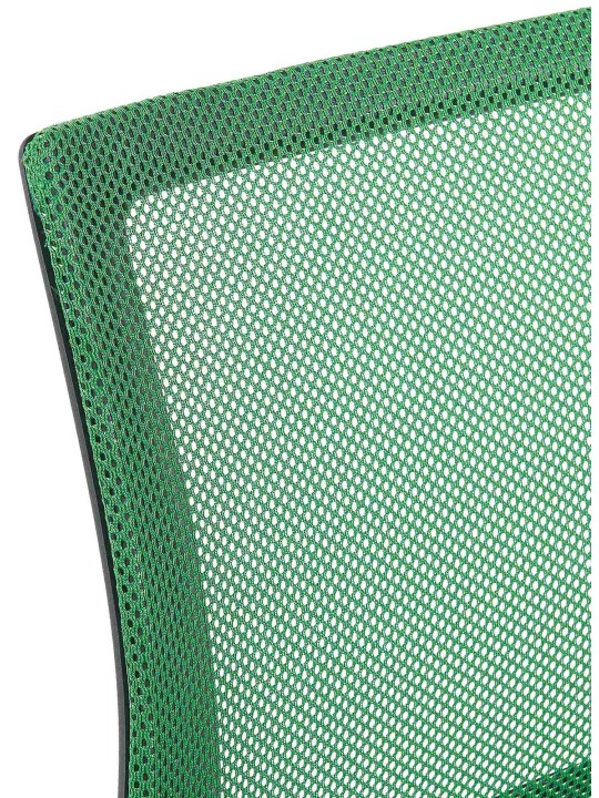 Sæt med 2 besøgsstole Eureka, grøn