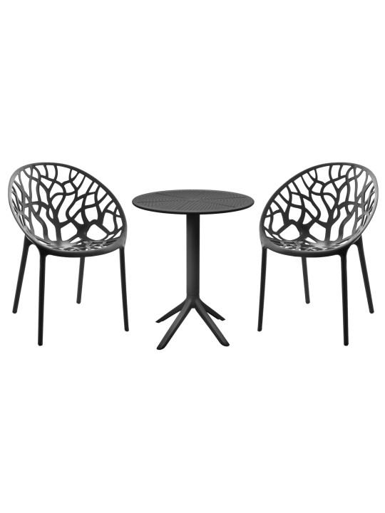 Hoscana siddegruppe, sort