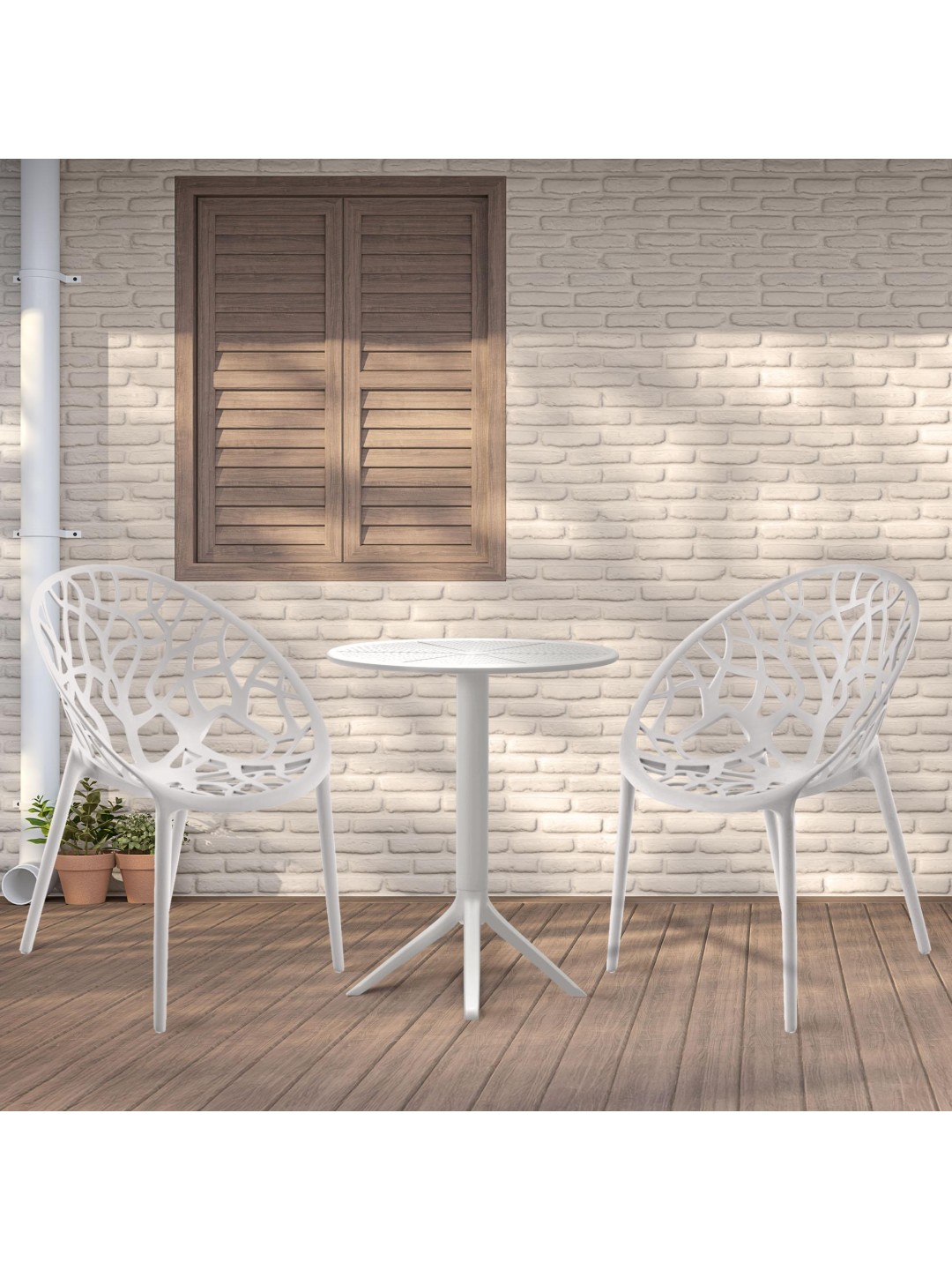 Hoscana siddegruppe, hvid