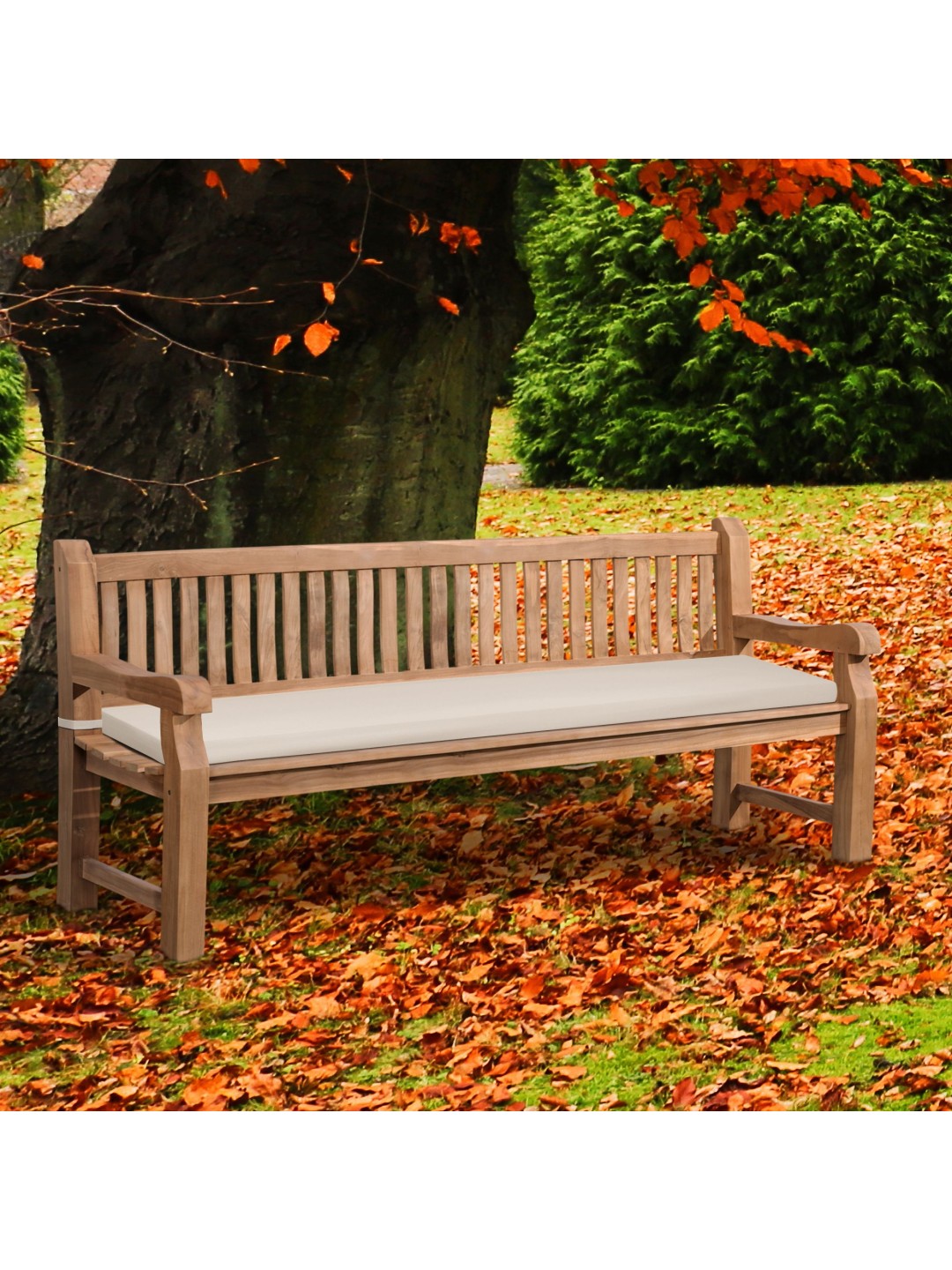 Teak bænk Jackson med sædehynde 220 cm + teak, creme